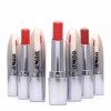 Velvet Matte Lipstick OEM ODM Private Makeup For Lip