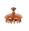 Hot Sell  Sandalwood Traditional Chinese medicine meridian massage comb