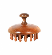 Hot Sell  Sandalwood Traditional Chinese medicine meridian massage comb