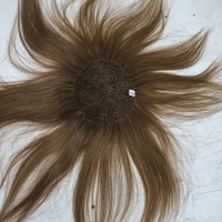 Fish net hair toppers with integrated window