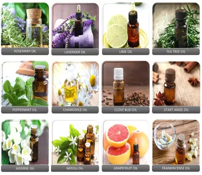 100% Pure Natural Organic Peppermint Essential Oil