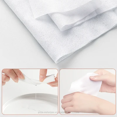 Eco Friendly Biodegradable Wet Wipes for Hand Cleaning with Skin Care