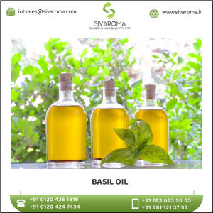 Factory Direct Supply Basil Essential Oil at Best Price