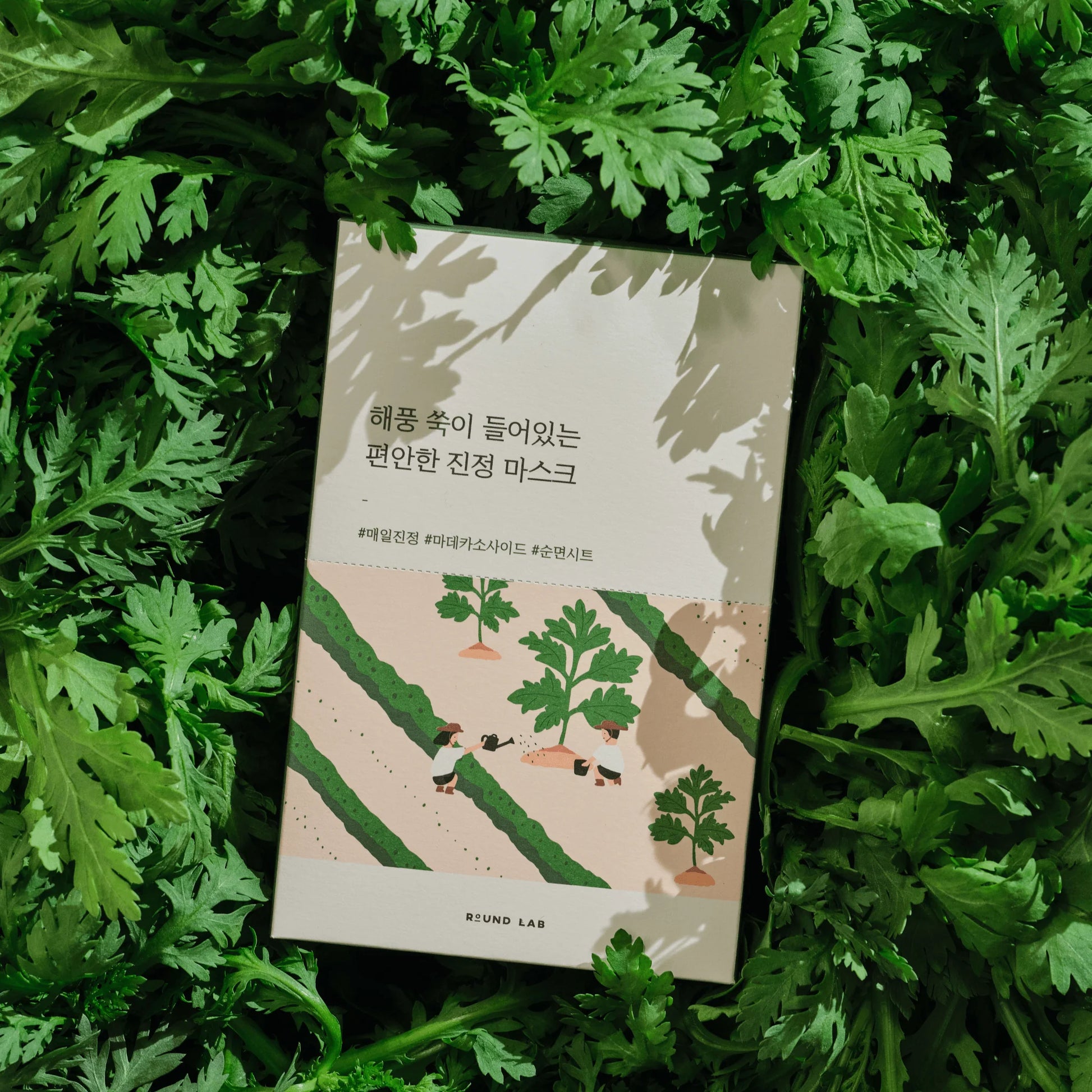 (Round Lab) Mugwort Calming Mask 25ml 10ea