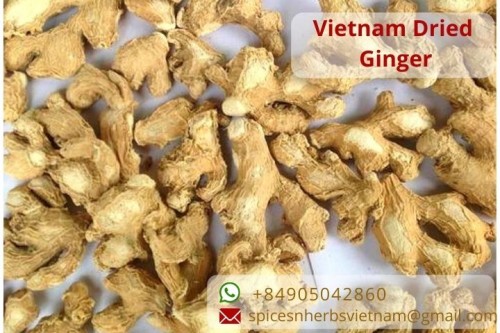 Vietnam ginger export products
