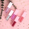 Custom Logo Vegan Flavouring Lip plumper oil private label Tinted Plumping Hydrating Lip Gloss Oil