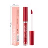Wholesale Makeup Liquid Lipstick 12 Colors High Pigment Waterproof Long Lasting Non Sticky Matte Velvet Lip Gloss