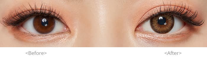Contact Lens (Spanish Circle 1DAY Brown)