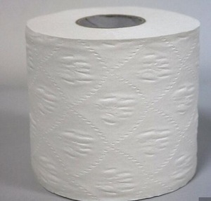 Factory direct Hygenic Soft Absorbent Flushable white 100% Virgin 2 ply Toilet Paper