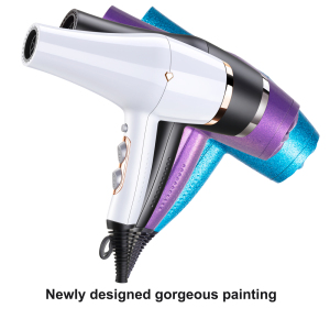 Hair Salon Equipment Soft Touch Finish Hair Drier Private Label Blow Dryer