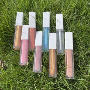Lip gloss glitter private label clear  lip gloss waterproof moisturizing lipgloss with 10 colors china vendor