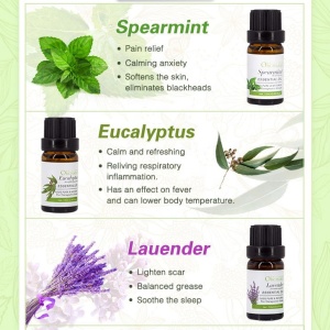 manufacturers wholesale buy difuser aromatherapy aroma organic natural 100% pure therapeutic grade lavender essential oil