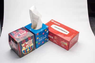 Manufacuture Factory Soft Pack Custom Polybag Facial Tissue Paper