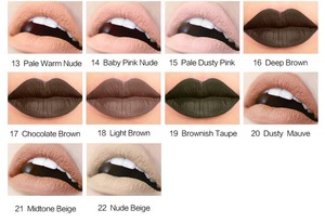 OEM/ODM Waterproof Lipstick Moisture Matte Color Nude LipStick