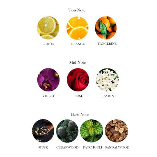 Prestige Perfume 50ml