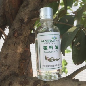 Private label eucalyptus essential oil