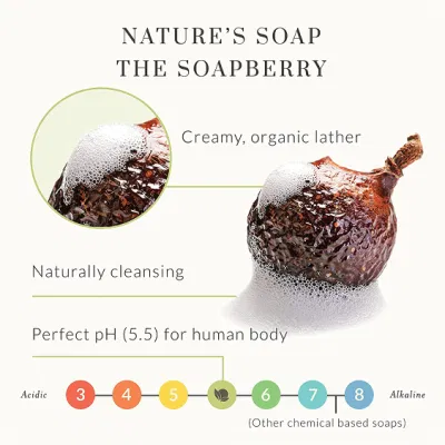 Wholesale Antioxidant-Rich Body Wash Nourish &amp; Soften Skin Shower Gel