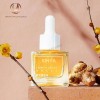 essential oil bottles dropper bottle empty cosmetic packaging skincare beauty packaging