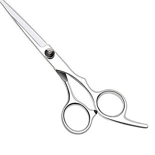 Barber scissors in great quality | hair scissors | beauty tools