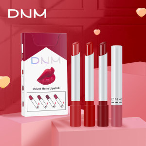 4 Pcs/set color Matte lipstick set  Makeup Nude lipstick Makeup Lipsticks and lip stick private label