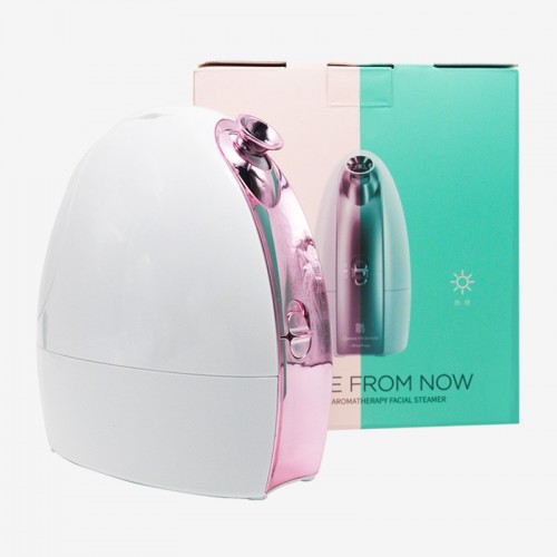 CE RoHS Certified Face Humidifier Professional Facial Steamer Nano Ionic for Skin Moisturizing skin beauty