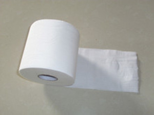 Cheap Hot Sales Paper Manufacturer Core Toilet Roll Tissue Paper