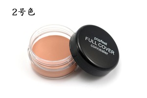 OEM Professional Facial Makeup Cover Makeup Contour Cream Concealer