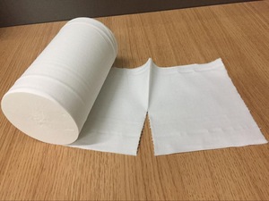 Standard Roll Size and Core Core charming ultra soft toilet paper