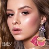 Blush Mono-Oulac,Nails and Makeup Suppliers