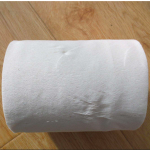 2018 Money Bank Printed Toilet Paper