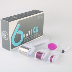 2019 Wrinkle Remover Feature 6 in 1 Microneedle Derma Rolling System with ice roller