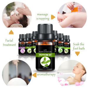 Aromatic essential oil peppermint oil cosmetic base oil