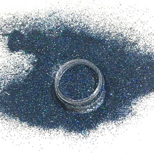 Factory Direct Sales New Arrival Design Popular Color Blue Black Holographic Fine Body Nail Face Glitter