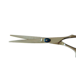 Hair Scissors Fine Adjustment Screw 6.5 inch- 1 Straight Edge Hair Scissor, 1 Texturizing Thinning Shears