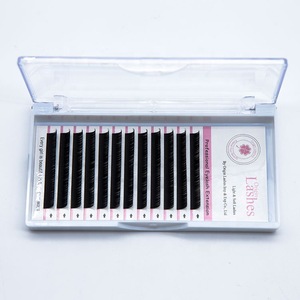 High Quality Korean Silk 3D Mink Individual Lashes False Eyelashes With Your Logo