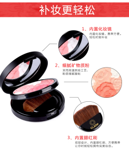 Private Label Blusher Brushes Case Blusher Palette