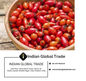 Rose Hip Oil | Rose Hip Carrier Oil from Indian Global Trade for Export
