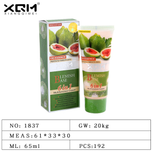 Spot own brand moisturizing guava flavor BB cream GMPC certification