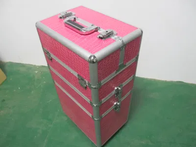 Big Colorful Aluminium Cosmetic Case for Makeup with Trays