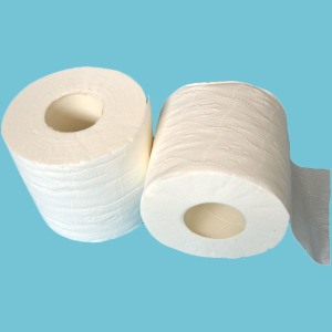 Flushable Ultra Soft Paper Roll Tissue Private Label Embossed Toilet Paper Made In China