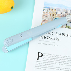 HOMME Flat Iron Mini Travel Iron Portable Mini Hair Straightener