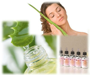 Italy made natural cosmetics based on organic skin care Aloe vera gel fluids with extra virgin olive oil