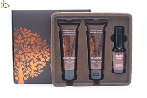 Promotion Present Gift Set Sulfate Free Argan Oil Shampoo Conditioner Hair Masque mask Set Deep Cleansing Hair Care