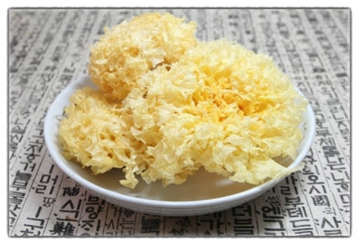 skin care_Tremellan MC Extract