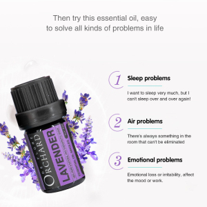 Winter theme GC certified 100 pure natural tea tree lavender amber immune boost essential oil