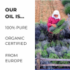 Private Label Lavender Oil (Lavandula Angustifolia)