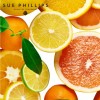 Sparkling Citrus Perfume 20ml