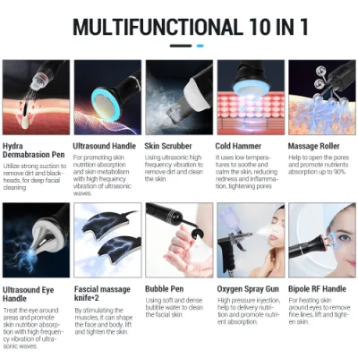 10 in 1 Multifunctional Hydra Bubble Skin Beauty Oxygen Facial Cleaning Aqua Peeling Hydro Microdermabrasion Machine