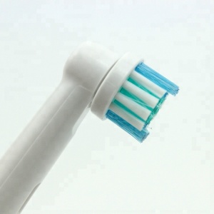 China Expert 10 Years Professional Factory Wholesale  Oral Brush Heads Compatible Changeable Electric Toothbrush Heads