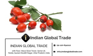 Rose Hip Oil | Rose Hip Carrier Oil from Indian Global Trade for Export